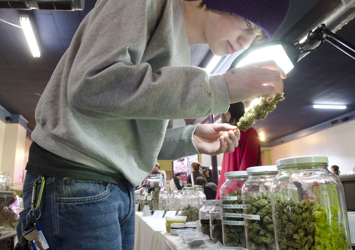A medical cannabis patient takes a closer look at large piece of medical marijuana at the NW Cannabis Market in Seattle, Washington May 22, 2012. The market serves a few hundred medical marijuana patients on a daily basis. Photo by Daniel Berman